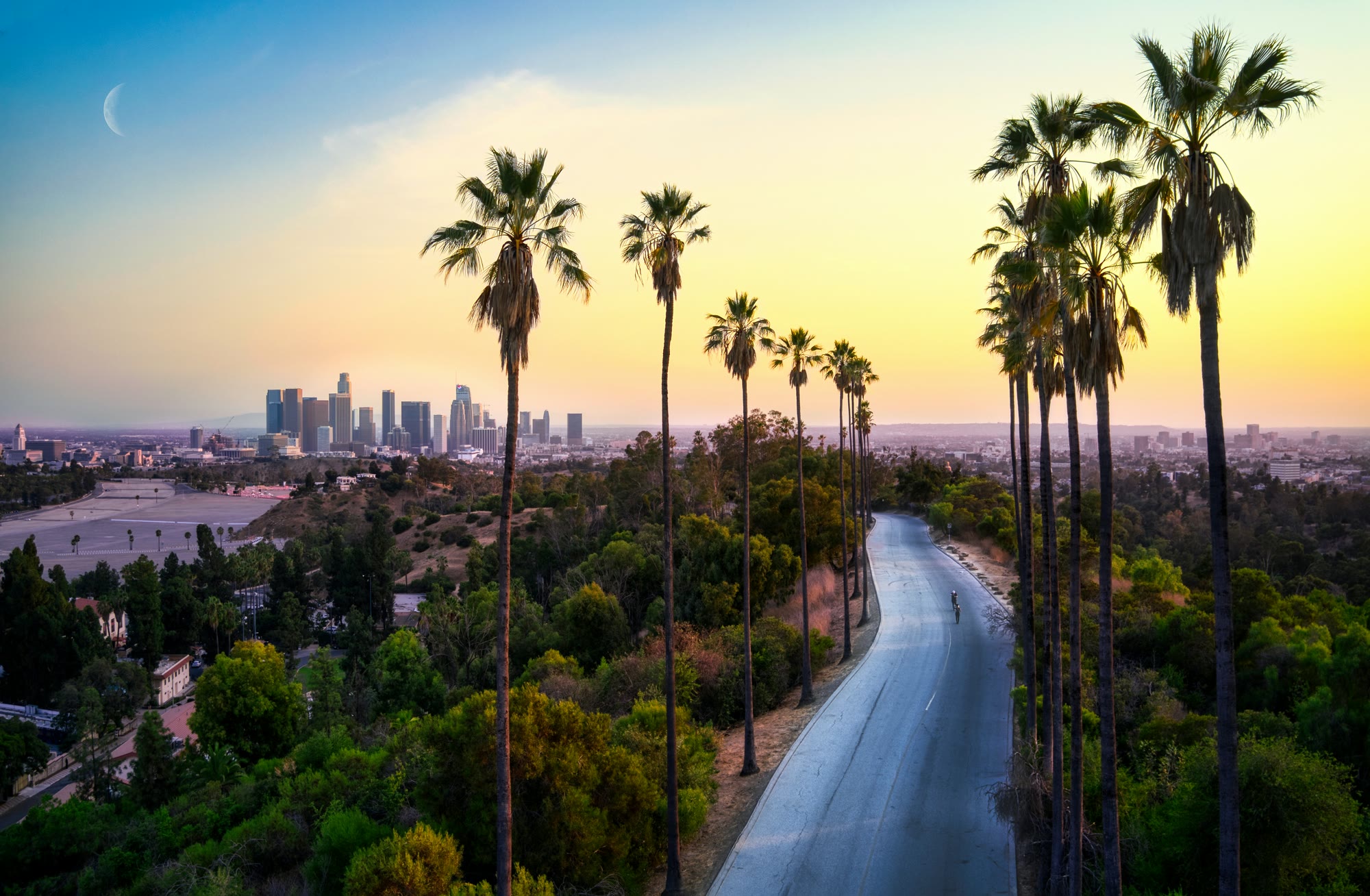 The Los Angeles skyline and palm-lined roads beneath a pastel California sky.